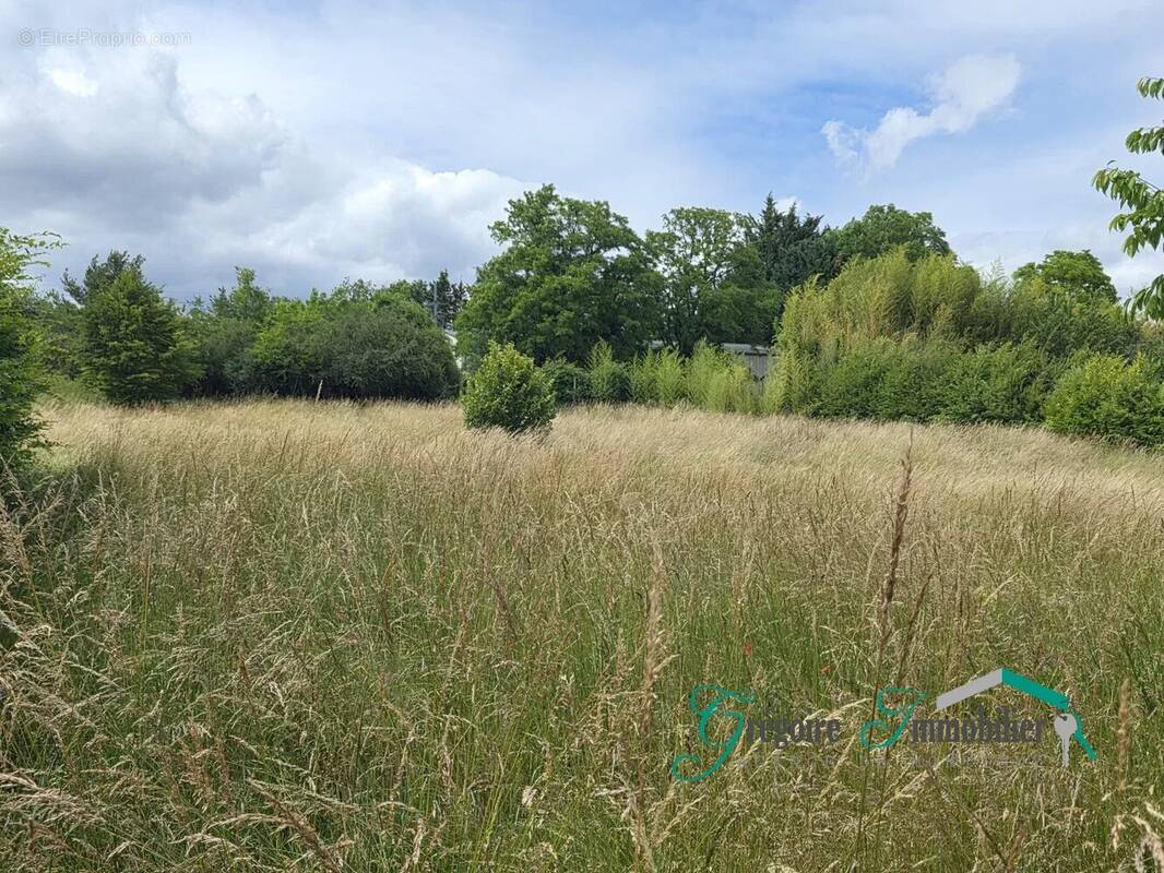 Terrain à MONTIGNY-SUR-LOING