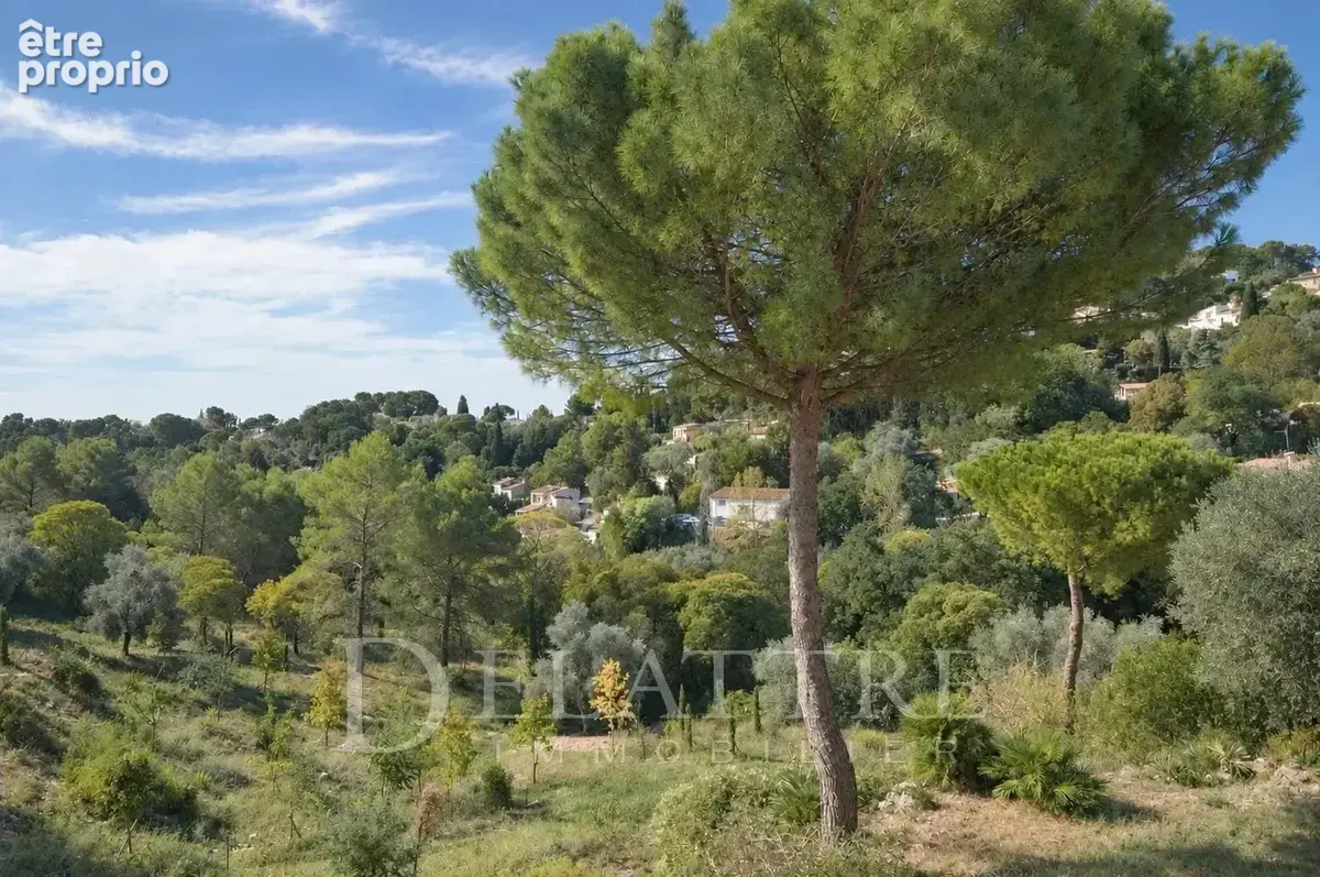 Maison 7 pièces 282 m² à vendre à Mougins (06250) - photo 2