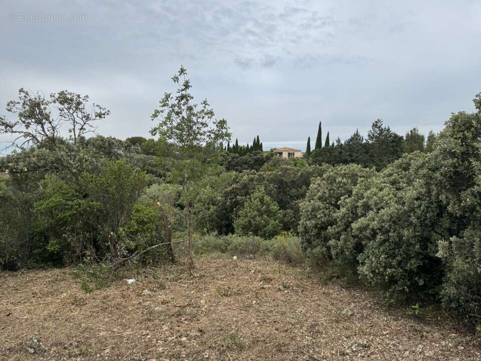 Terrain à VILLENEUVE-LES-AVIGNON