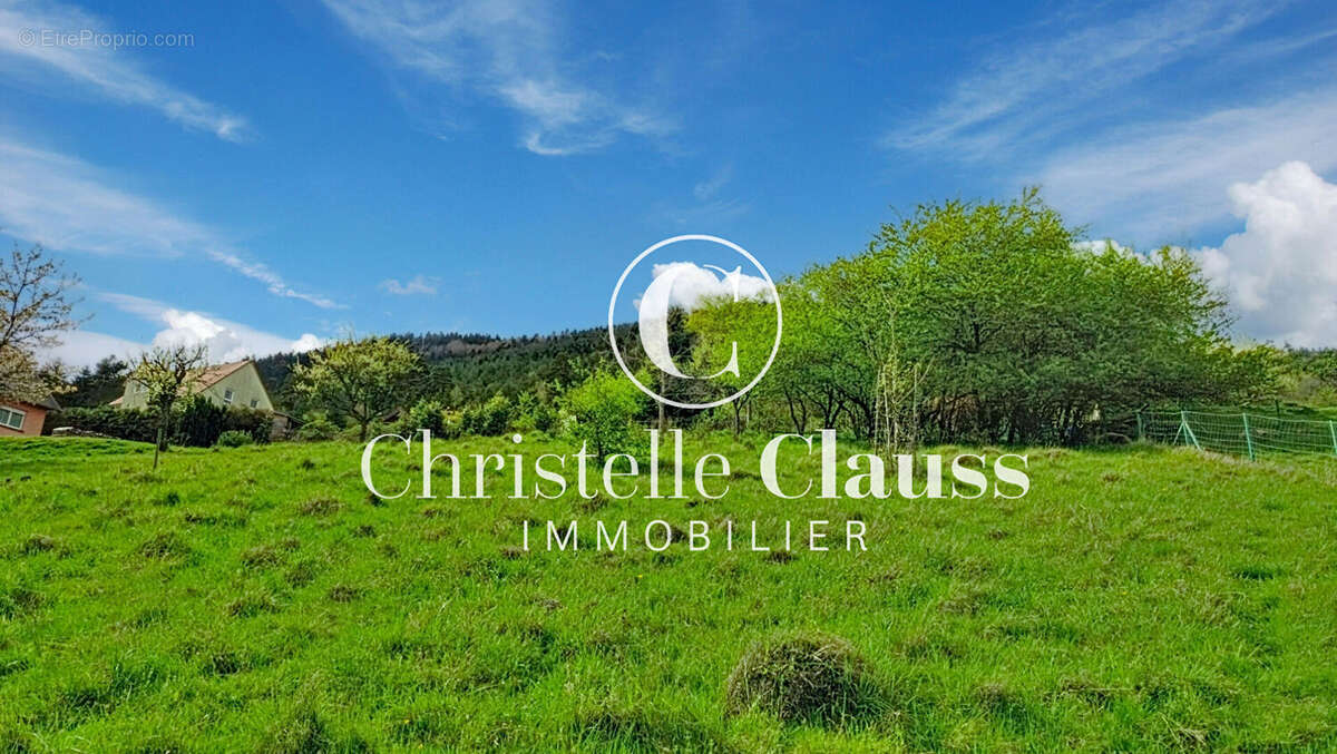 Terrain à WANGENBOURG-ENGENTHAL