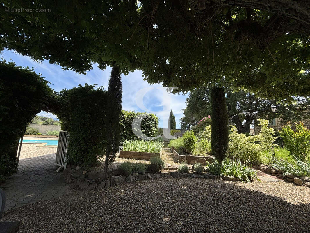 Maison à VAISON-LA-ROMAINE