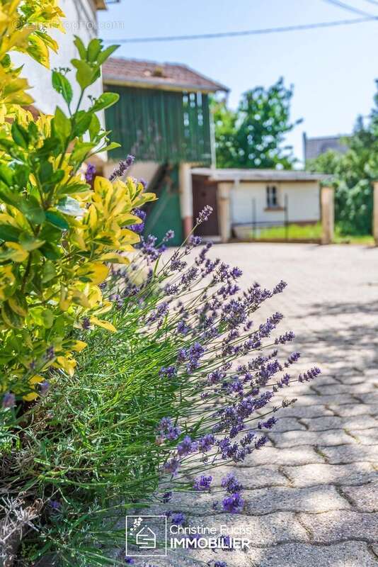 Maison à MERTZWILLER