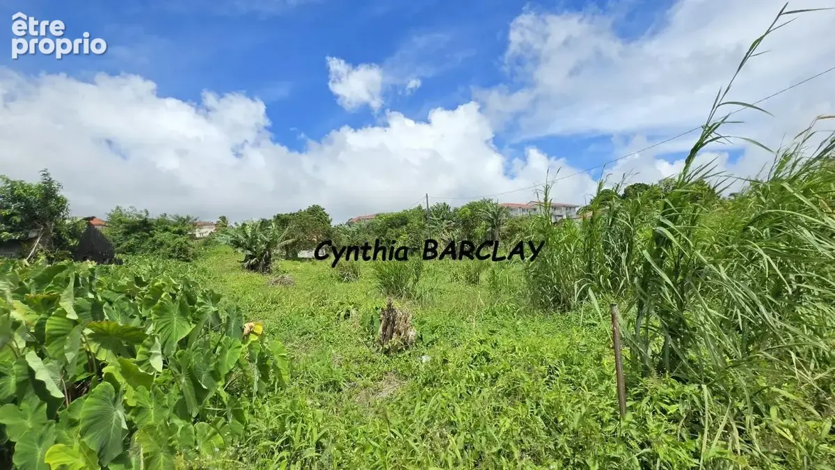 Terrain 1 942 m² à vendre à Le Morne-Rouge (97260) - photo 2