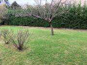 Terrain à SAINT-NOM-LA-BRETECHE