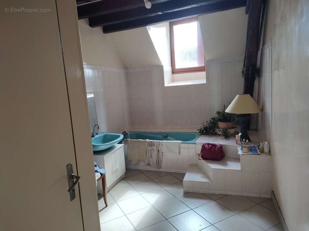 Maison 280 m² à Cloyes-Sur-Le-Loir  - photo 12