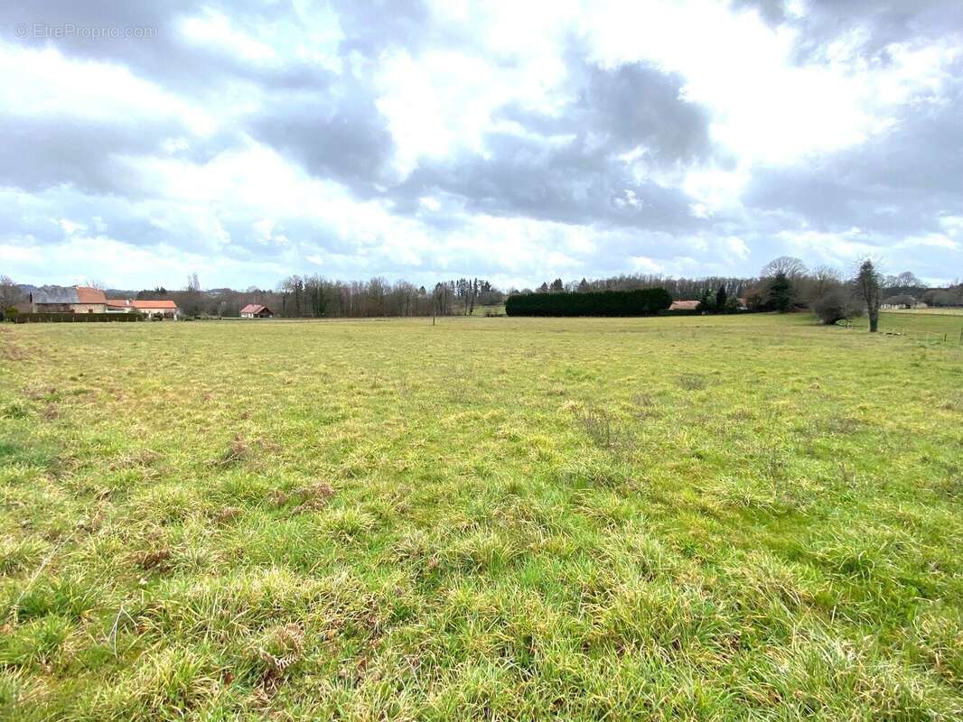 Terrain à SAINT-YRIEIX-LA-PERCHE