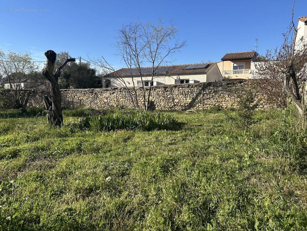 Terrain à MUS