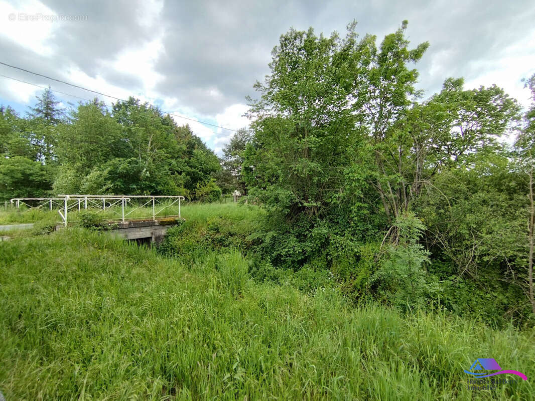 VU DE LA TERRASSE - Maison à CHAMPILLET
