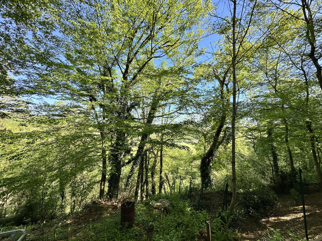 Maison à BOISSE-PENCHOT