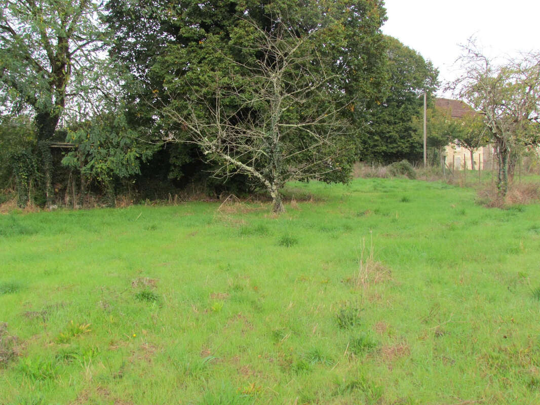 Terrain à BRUX
