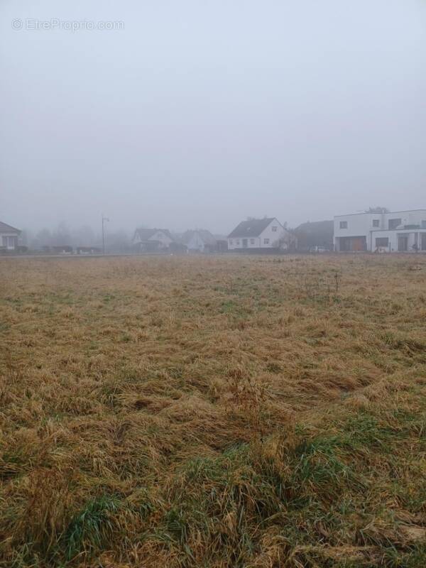 Terrain à SUNDHOFFEN