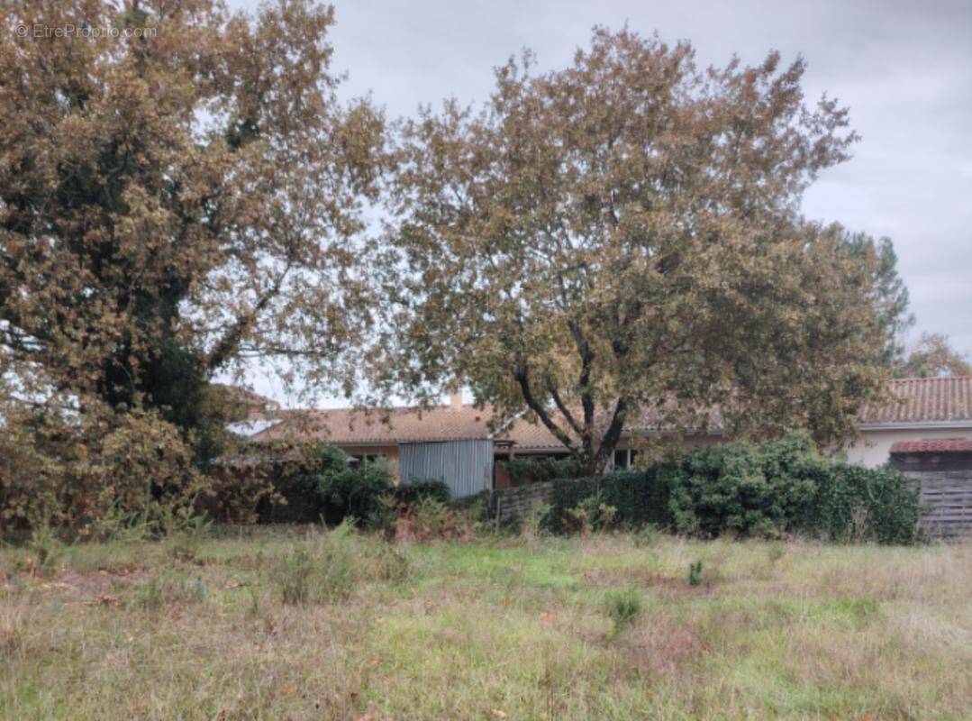 Terrain à BELIN-BELIET