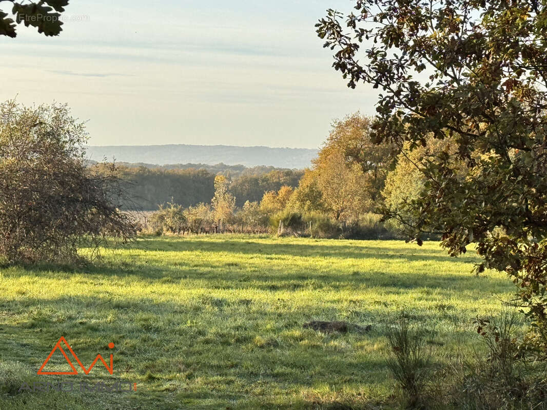 Terrain à CADALEN
