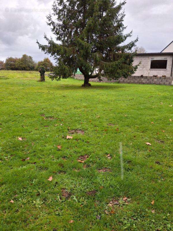 Terrain à MALESTROIT