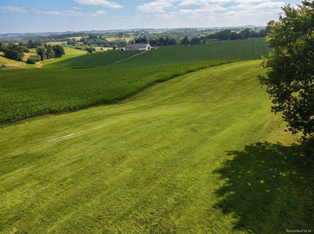 Photo 1 - Terrain à SAINT-PALAIS
