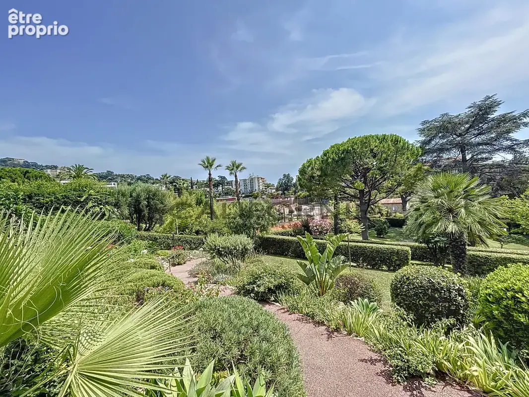 3 pièces cannes montfleury - photo 14