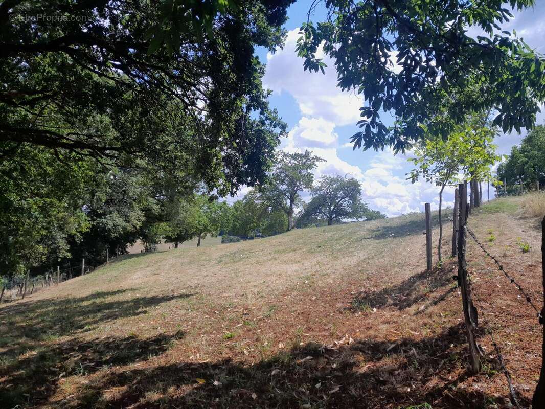 Photo 6 - Maison à BOISSET