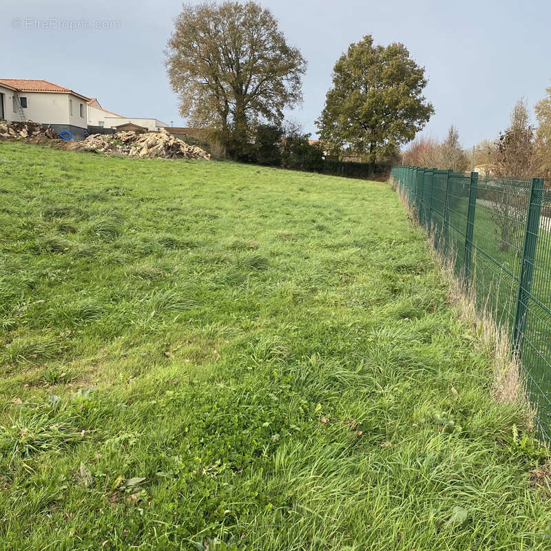 Terrain à MORTAGNE-SUR-SEVRE