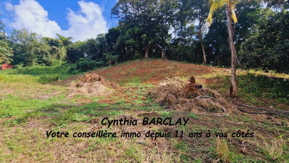 Terrain à LE FRANCOIS