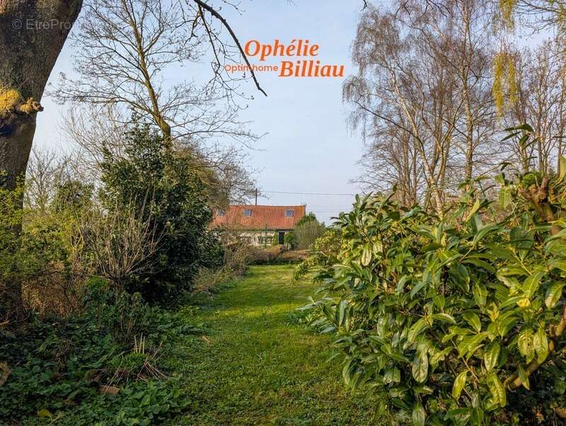 Maison à SAINT-VENANT