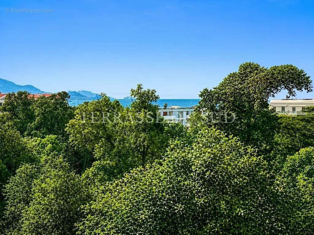 Vente Appartement 4 Pièces 125 m2 avec Chambre de service, Terrasse Vue Mer et Cave - Quartier La Plage Marseille 8 - photo 3