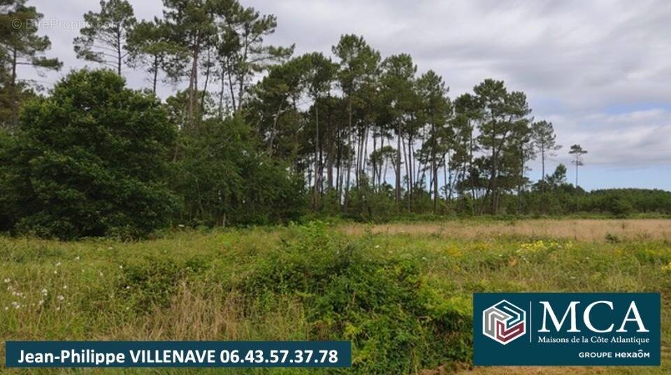 Terrain à SAINT-YAGUEN