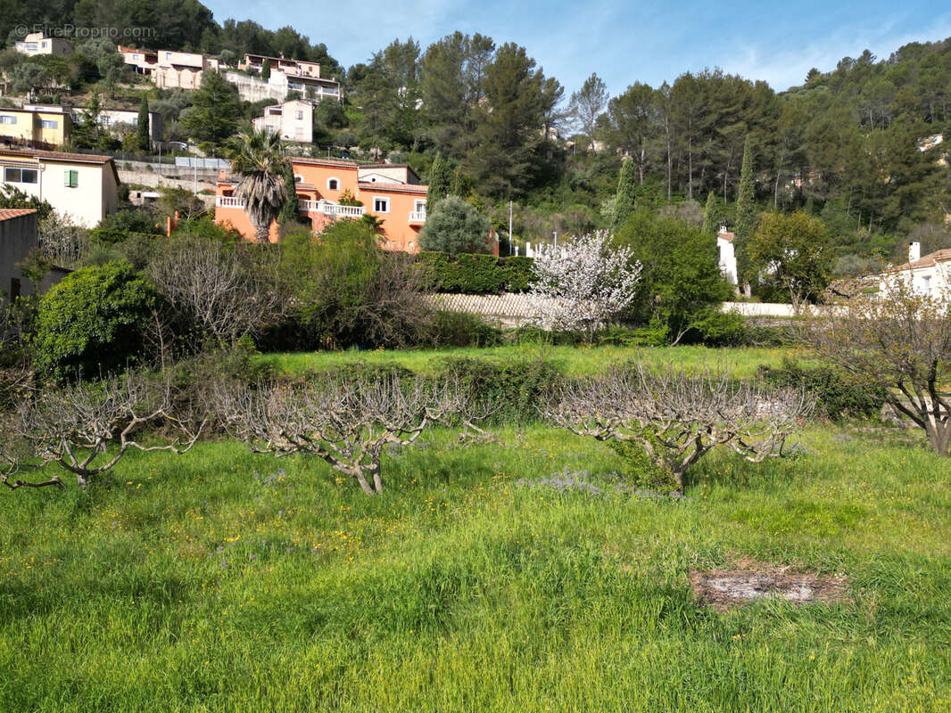 Terrain à SOLLIES-TOUCAS