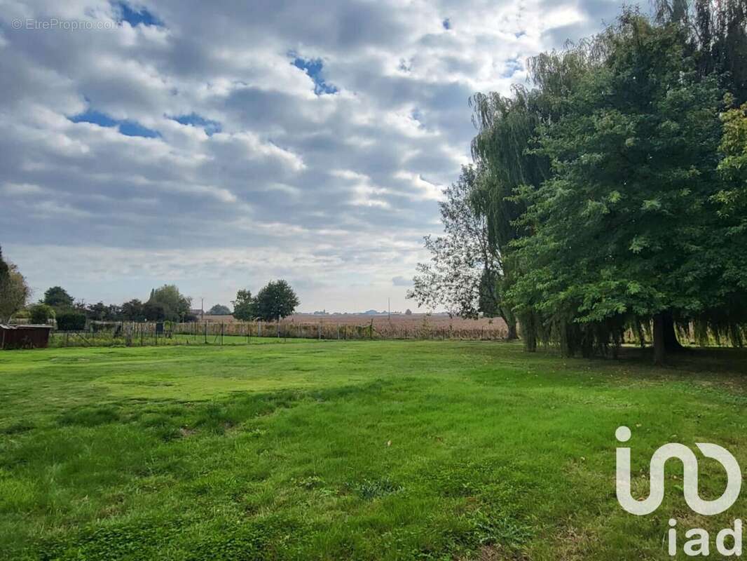Photo 2 - Terrain à CASSEL