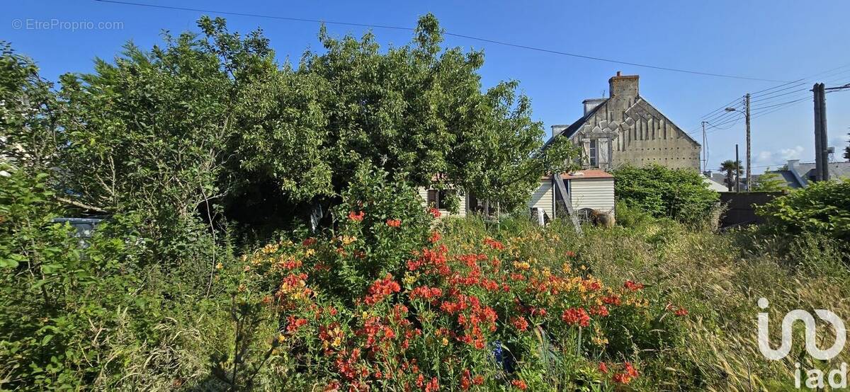 Photo 1 - Terrain à SAINT-PIERRE-QUIBERON