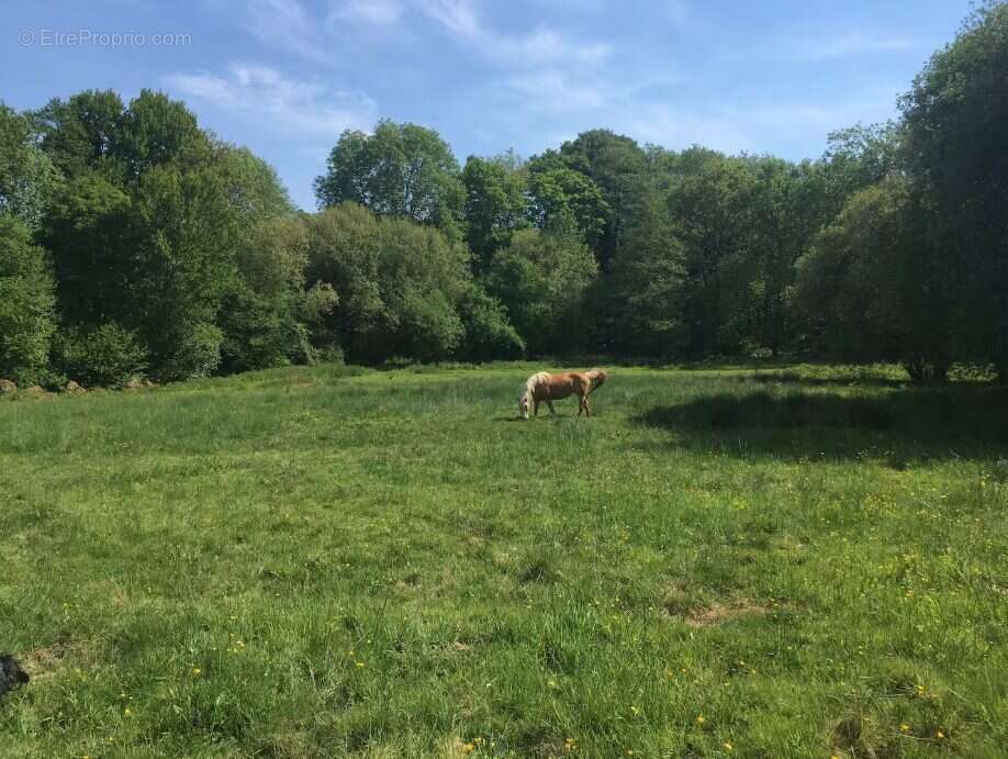 Maison à PONT-D&#039;OUILLY