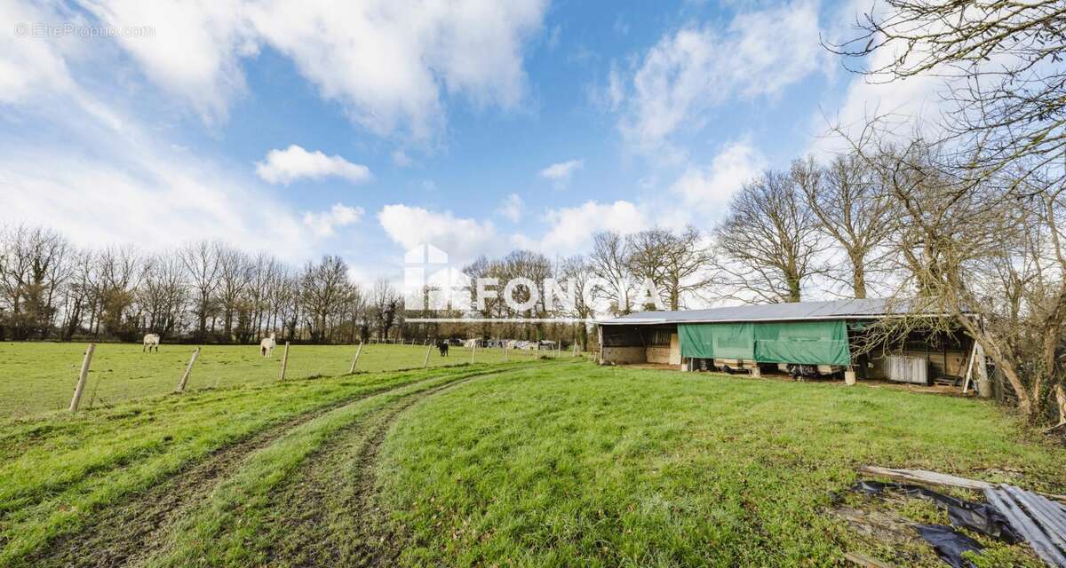 Maison à NOYAL-CHATILLON-SUR-SEICHE