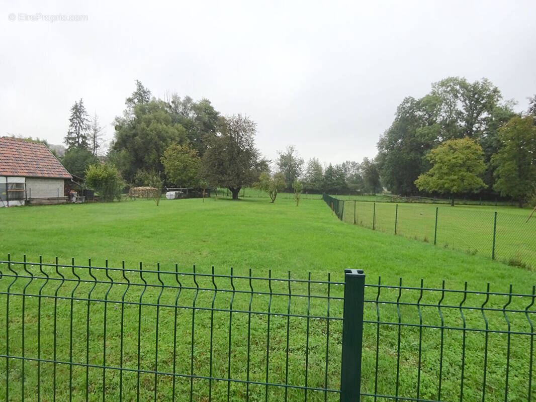 Terrain à STEINBRUNN-LE-HAUT
