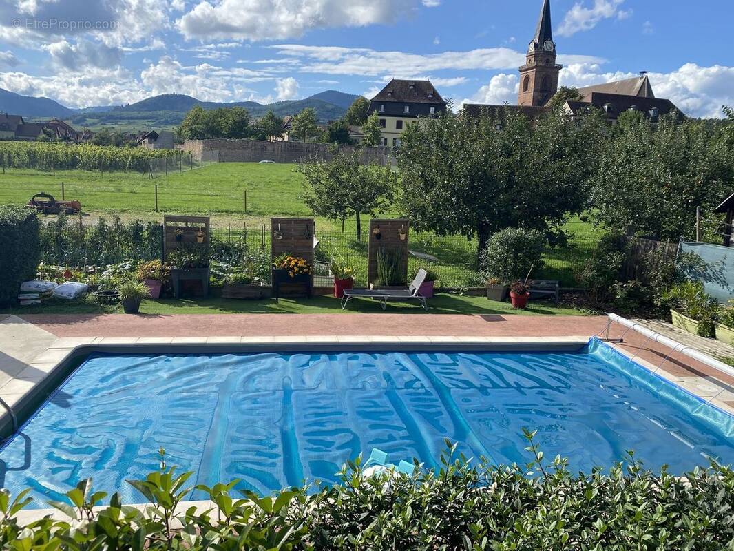 Maison 176 m² à Bergheim  - photo 7