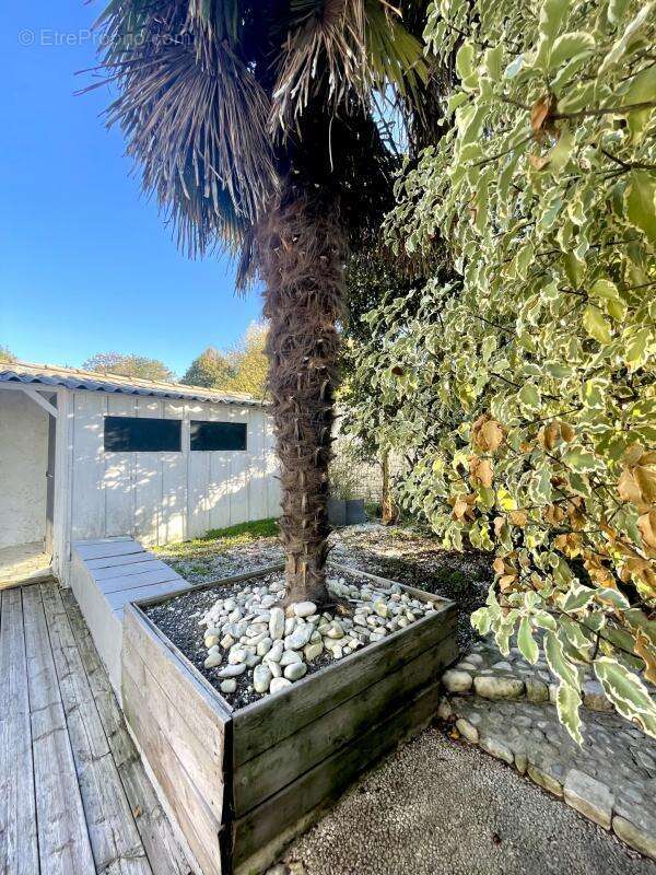 Maison à NUAILLE-D&#039;AUNIS