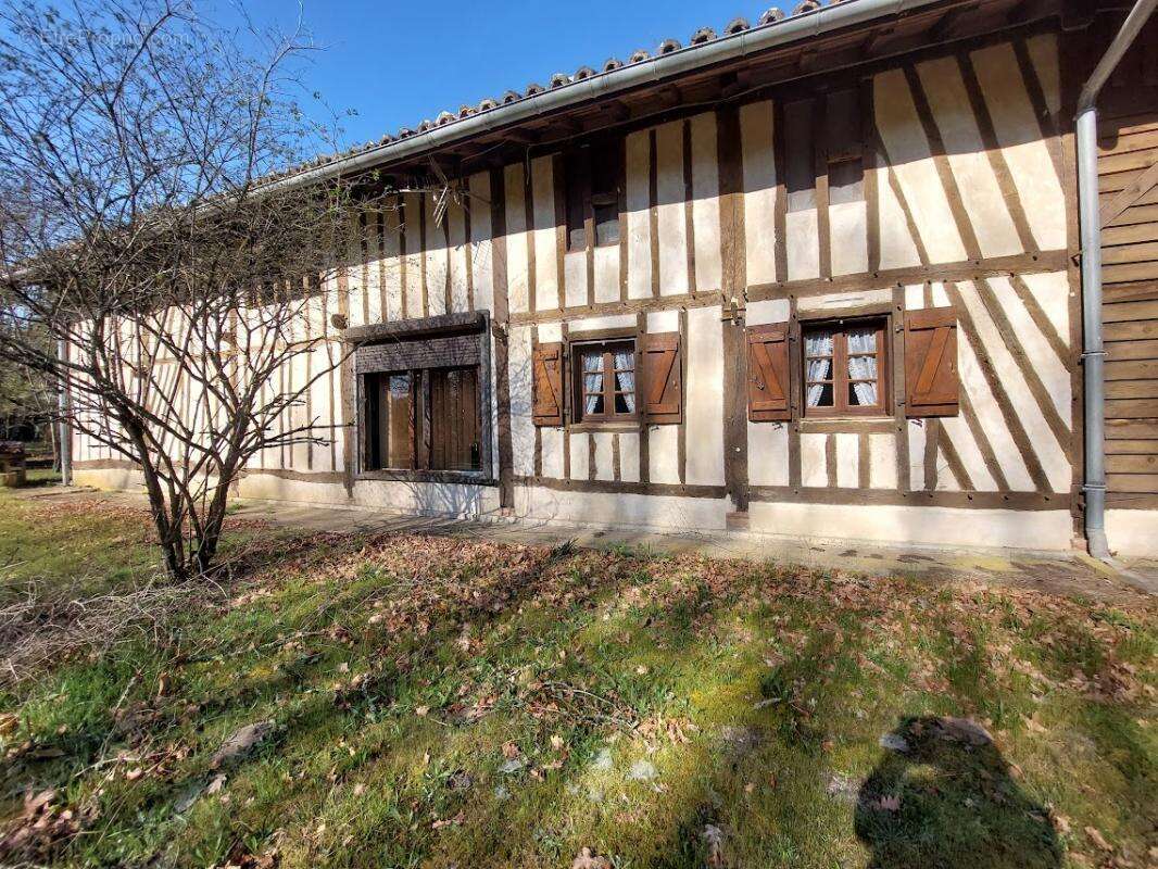 Maison Landaise entre pins et Océan - photo 3