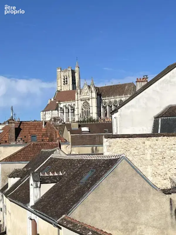 Romuald garnier vous propose en exclusivité - photo 10