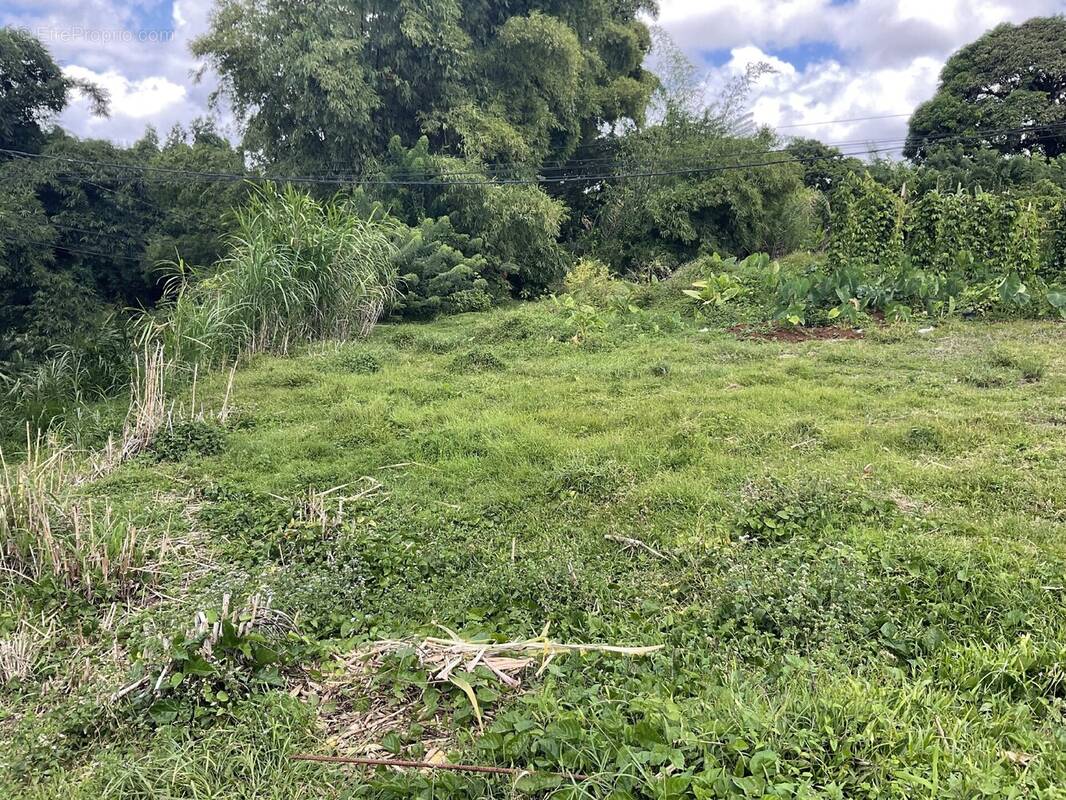 Terrain à SAINTE-MARIE