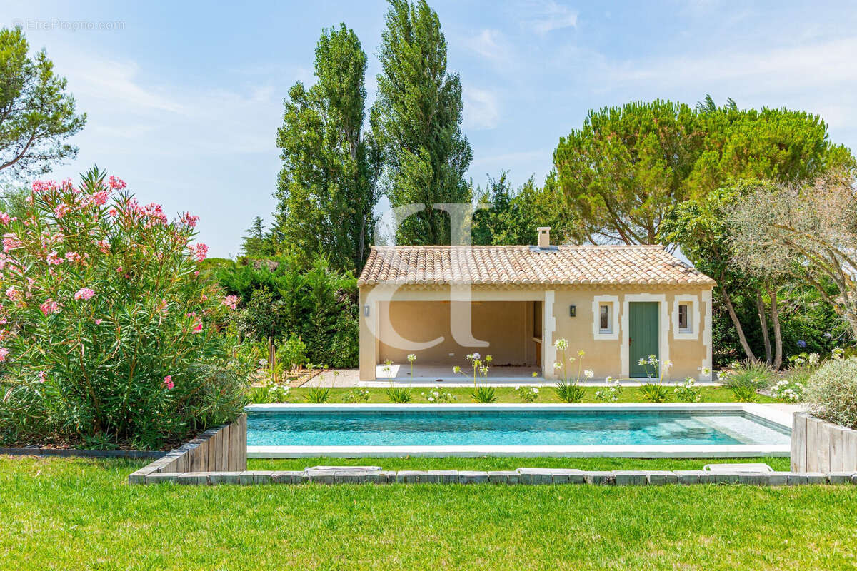 Maison 300 m² à Fontvieille  - photo 2