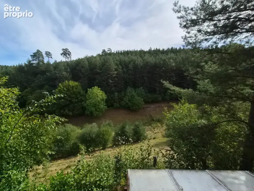  EXCLUSIVITÉ – Authentique maison en rondins massifs avec terrain clos de 37 ares A WANGENBOURG ENGENTHAL - photo 12