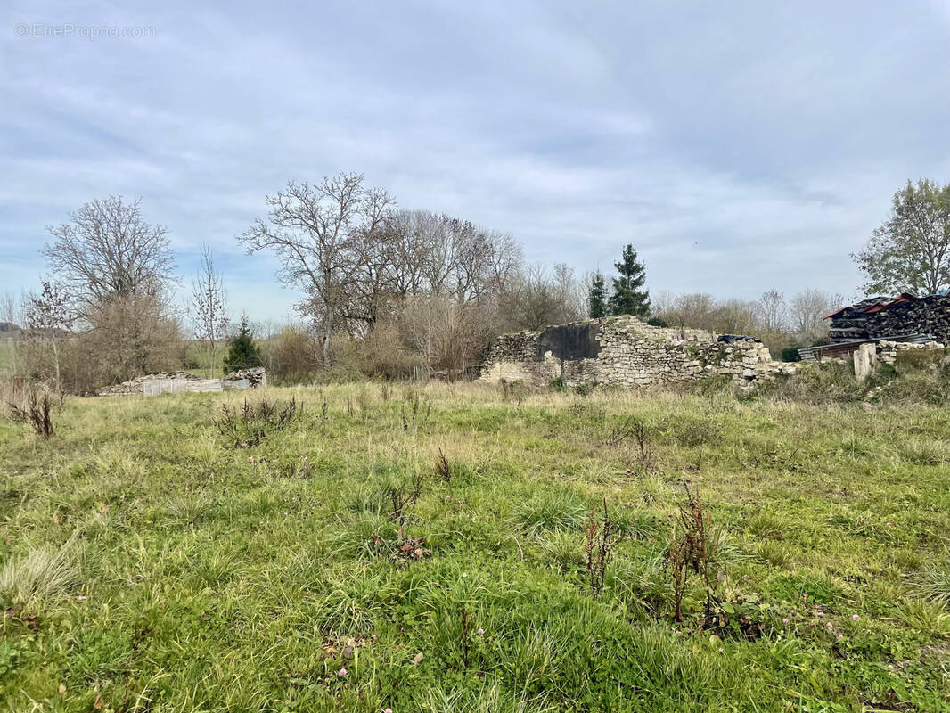 Terrain à COUSANCES-LES-TRICONVILLE