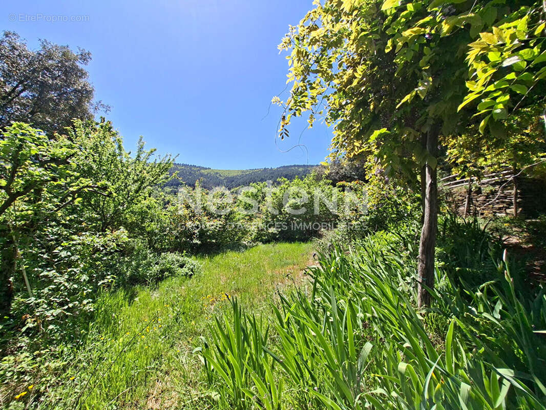 Maison de hameau en pierre à vendre à Saint-Germain-de-Calberte ? 157 m², 5 chambres, cour intérieure et vue sur la vallée - photo 3