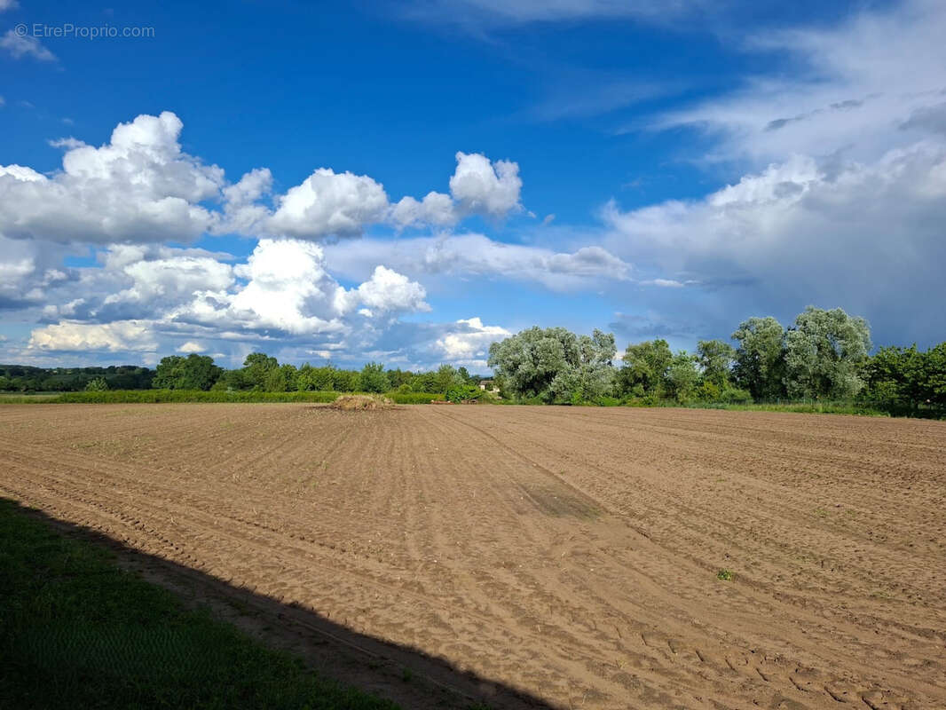 Terrain à BAGE-LA-VILLE