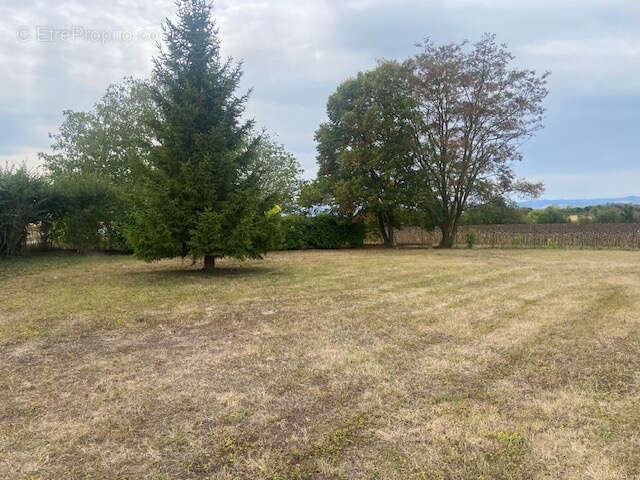 Très belle maison de plain-pied avec garage et double garage sur beau terrain de 2700 M2 - photo 6