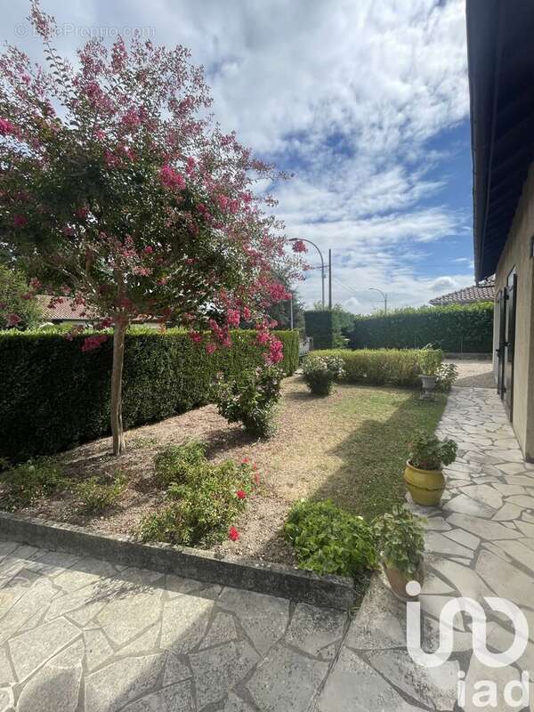 Photo 3 - Maison à BERGERAC