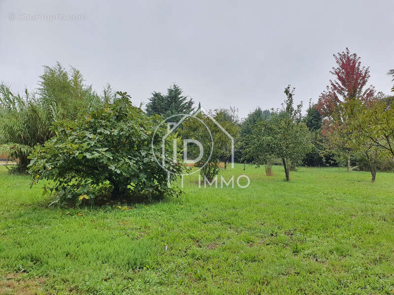 Terrain à MONTCARET