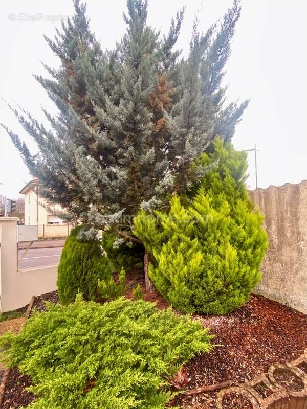 Maison à VANDOEUVRE-LES-NANCY