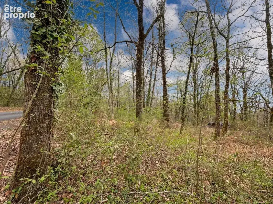  Terrain constructible au calme – Sarliac-sur-l’Isle  - photo 3