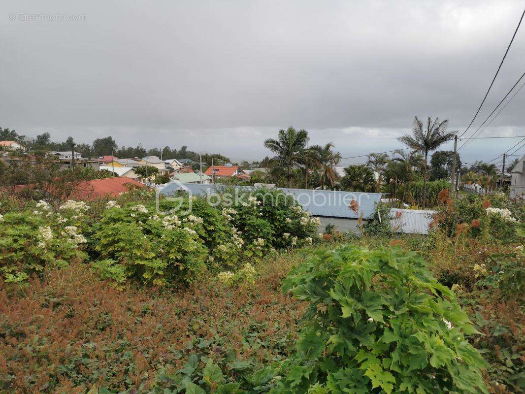 Terrain à LE TAMPON