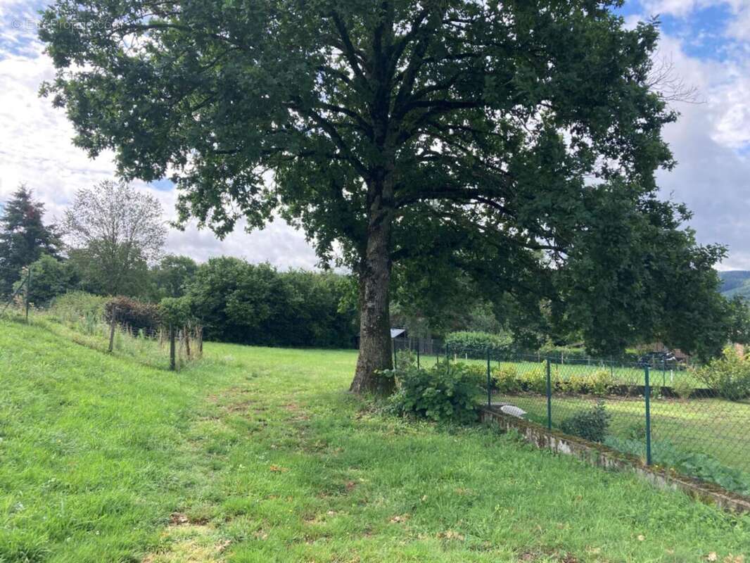 Photo 7 - Terrain à BELMONT-DE-LA-LOIRE