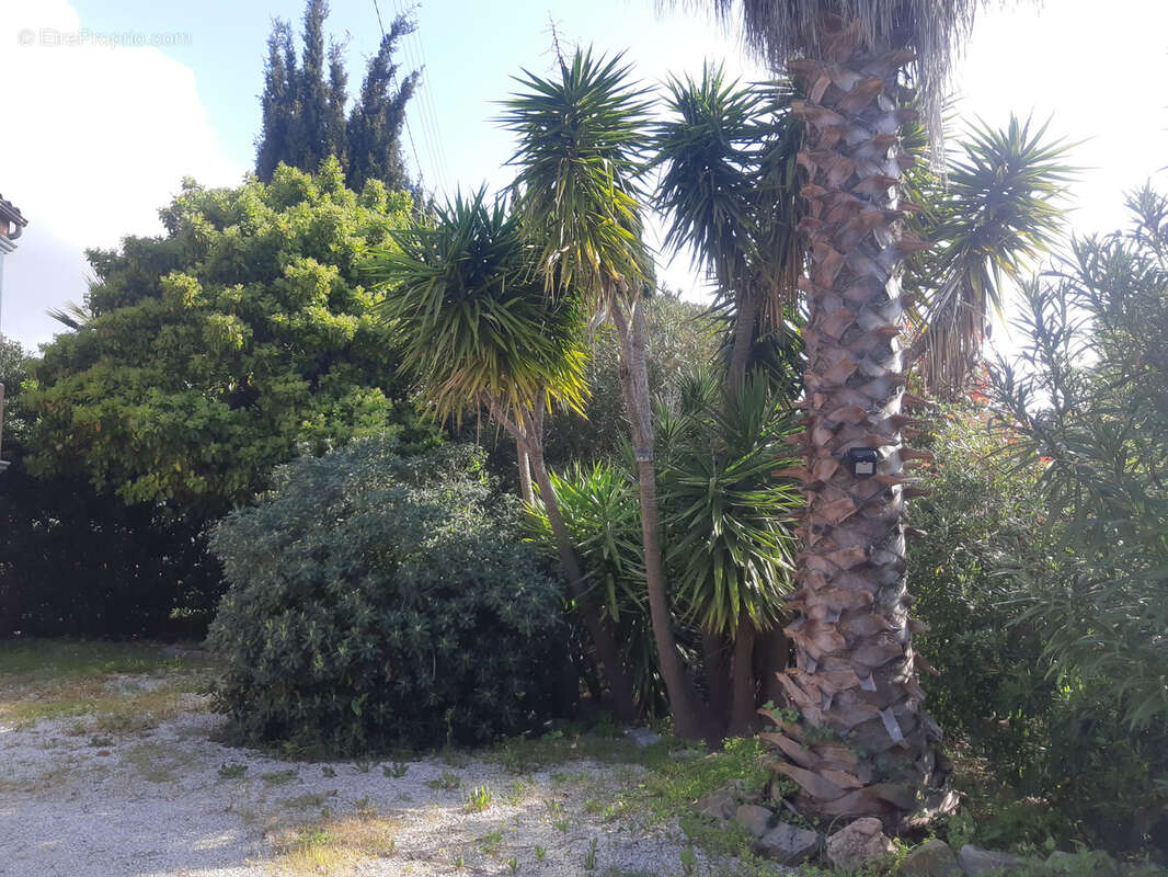 Haut de villa plages a pied - photo 7